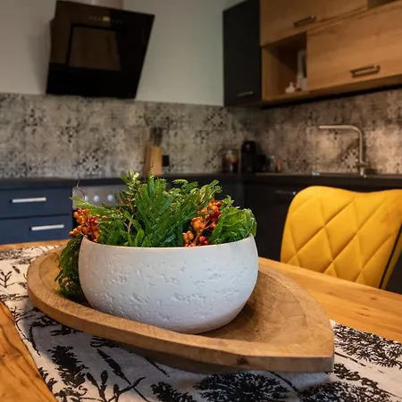 Vera Apartment Saalfelden