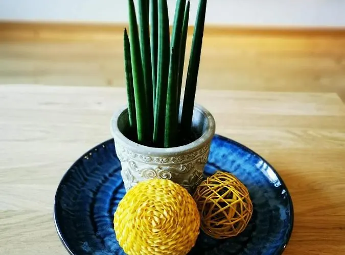 Appartamento Vera Saalfelden